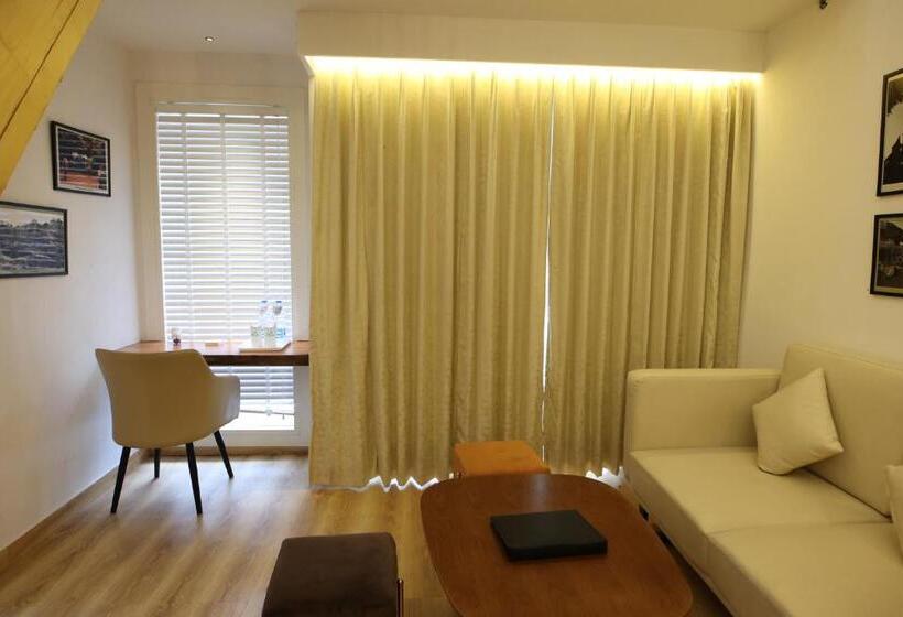 جناح دوبلكس, Kasauli Hills Resort