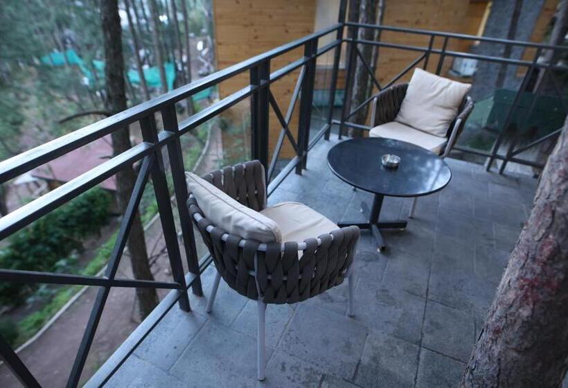 غرفة قياسية مطلة على الجبل, Kasauli Hills Resort
