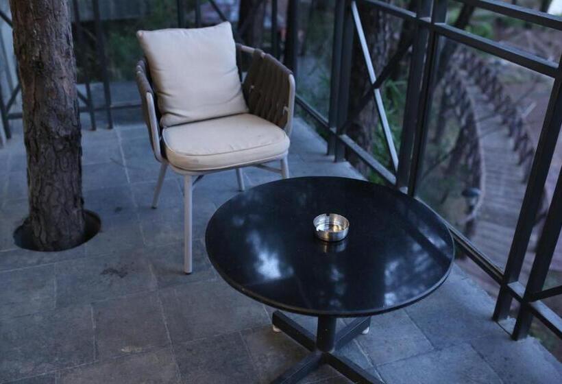 غرفة قياسية مطلة على الجبل, Kasauli Hills Resort