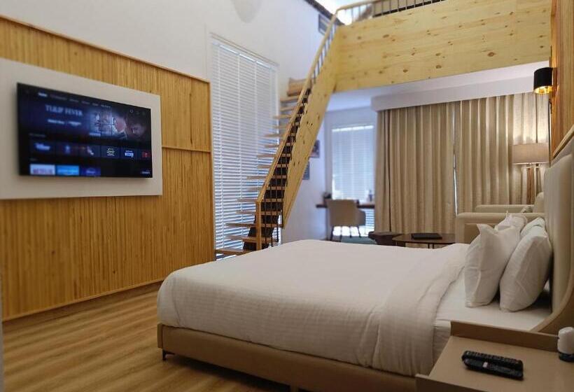 جناح دوبلكس, Kasauli Hills Resort