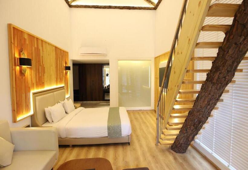 جناح دوبلكس, Kasauli Hills Resort