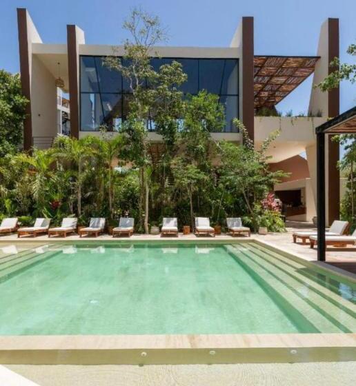 1 Szobás Deluxe Apartman, Chaac Dk