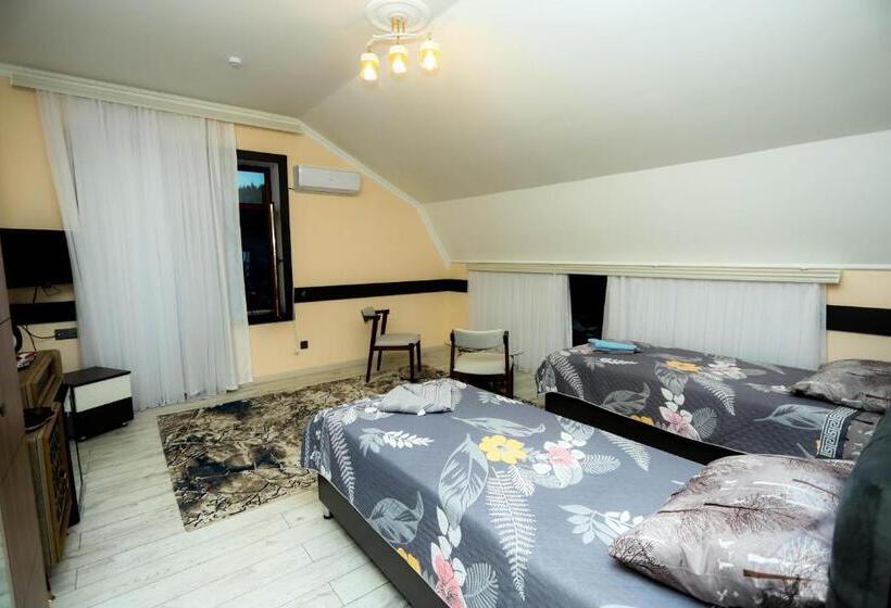 اتاق سوپریور چهار تخته, Vətən