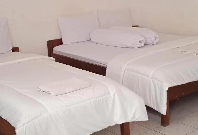 اتاق استاندارد, Wisata