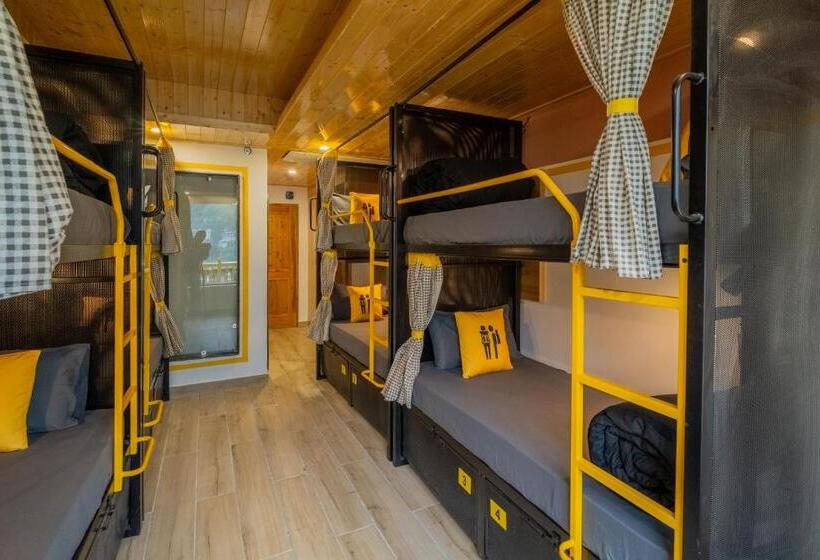 تختخواب در اتاق مشترک, The Hosteller Old Manali, Manu Temple