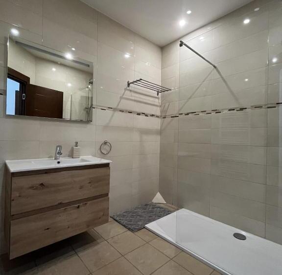 침실 1개 테라스 아파트, Apparthôtel Elite Spa