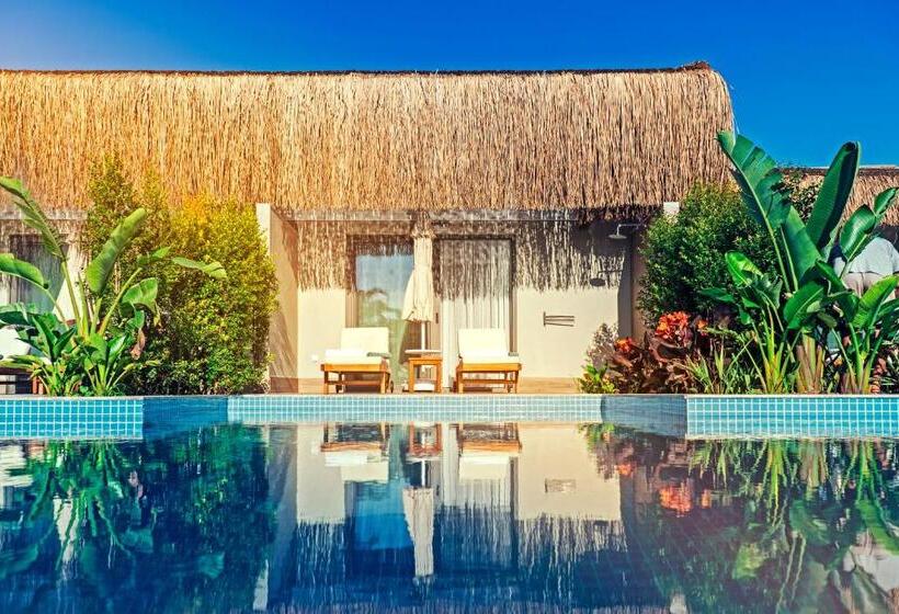 ویلای 1 خوابه با چشمانداز باغ, Royal Wings