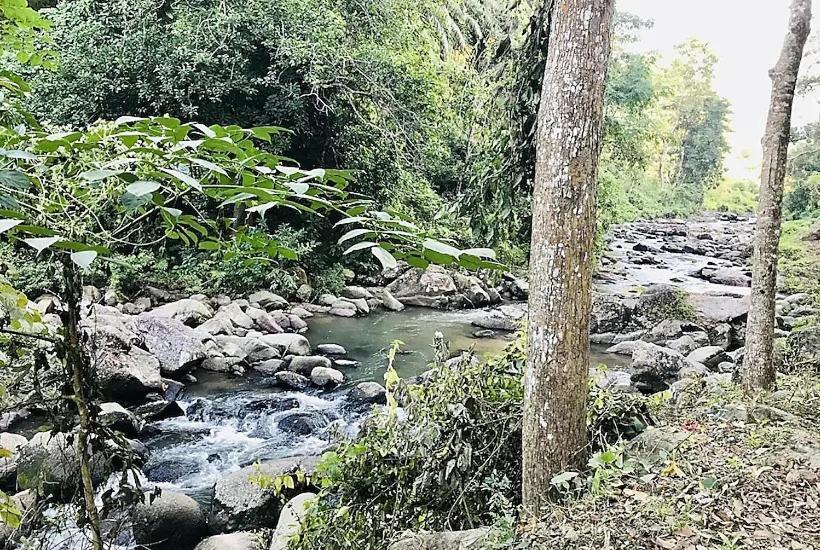 غرفة ديلوكس, Shoolin Wood