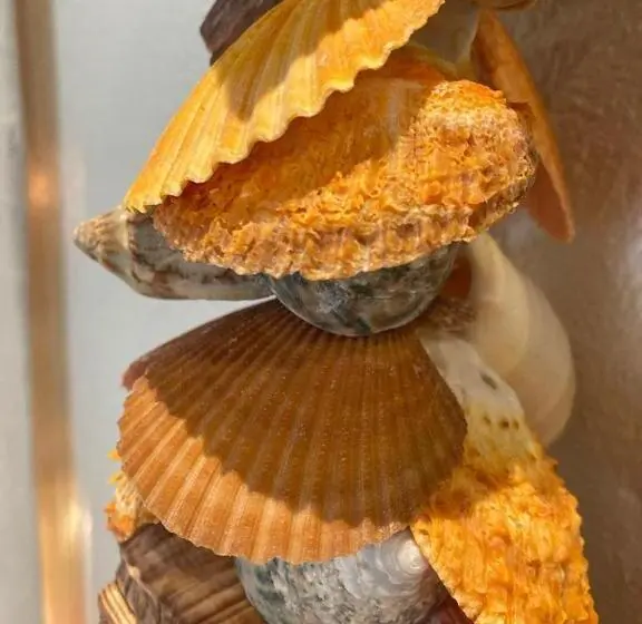 バルコニー付スイート, Pousada Jardim Boêmio