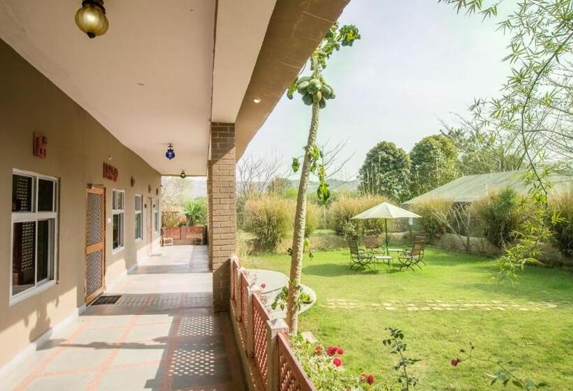 수피리어 룸, Maa Ashapura Resort
