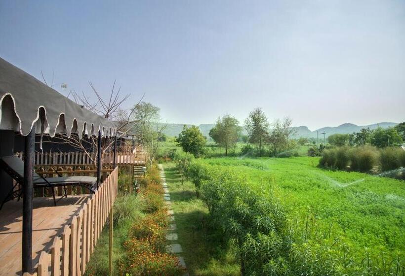 Standard Tent, Maa Ashapura Resort