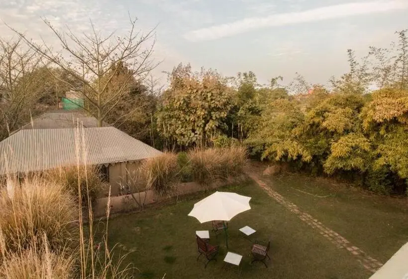 1ベッドルームハウス, Maa Ashapura Resort