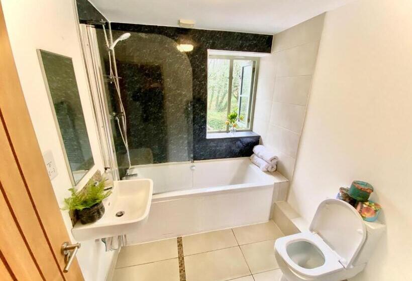 غرفة قياسية, Chy Cos