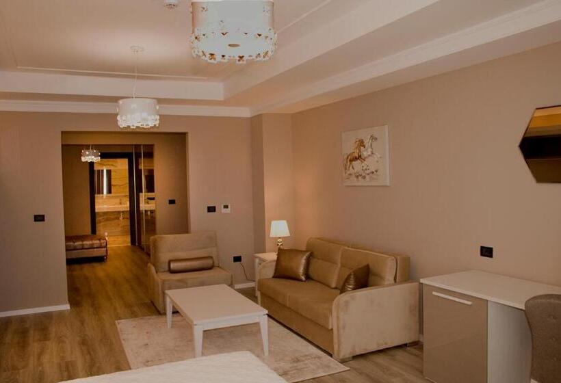 اتاق سوپریور, Morina Palace