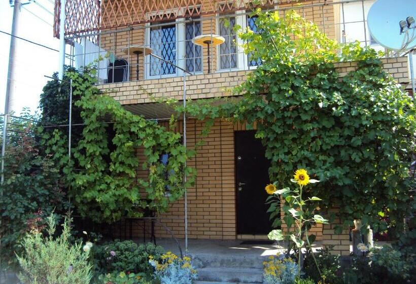 Standardzimmer, Druzhba 598