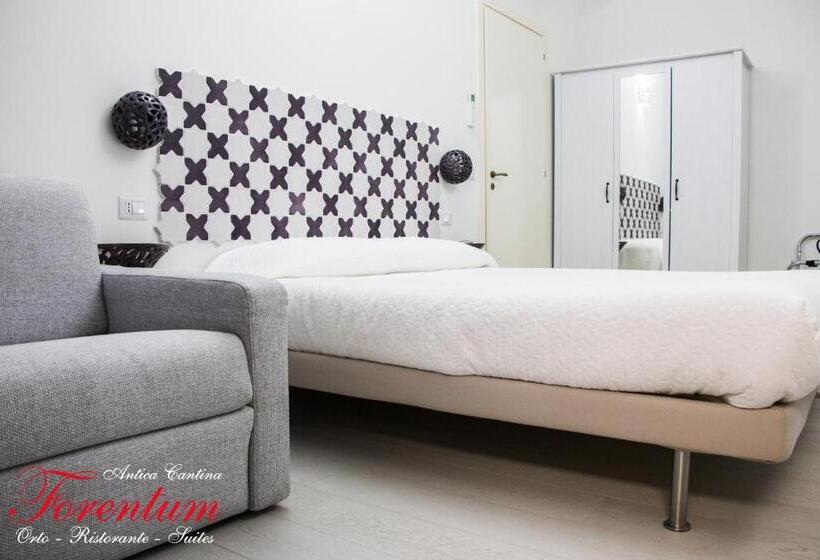 חדר סטנדרט, Forentum Suite