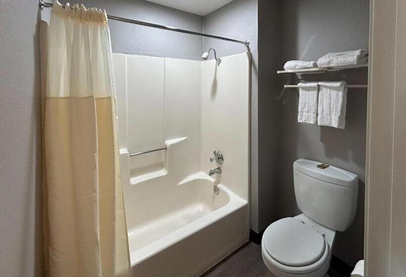 スタンダードルーム, Motel 6 Lake Elsinore, Ca