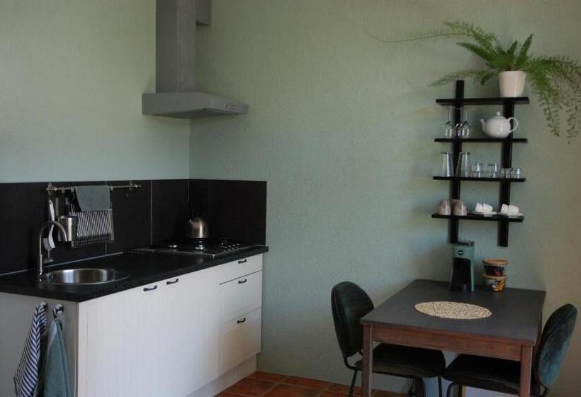 Студия Стандарт, Casavabene