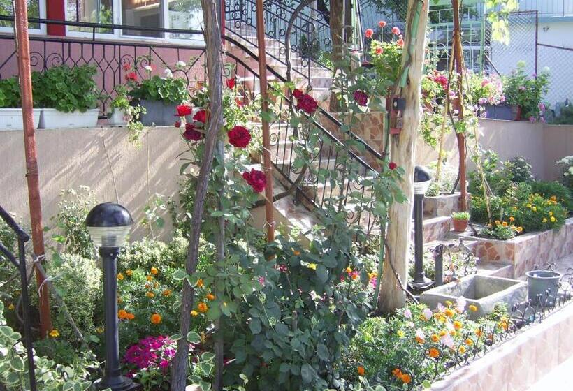 חדר סטנדרט לשלושה, New Worker Wo Za Diman