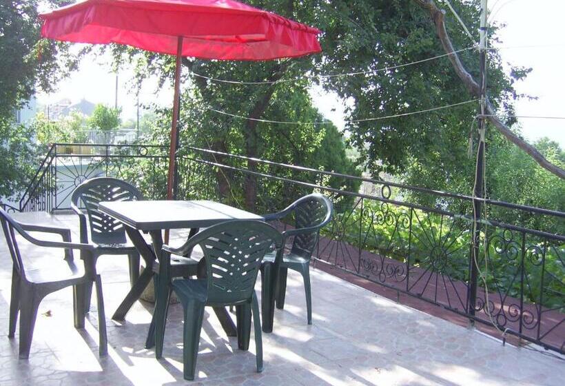 דירת חדר, New Worker Wo Za Diman