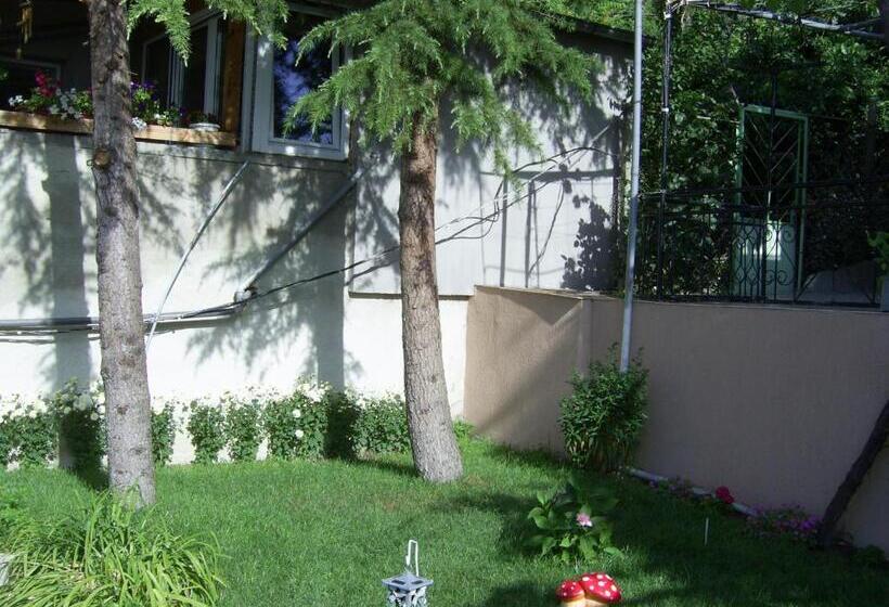 דירת חדר, New Worker Wo Za Diman