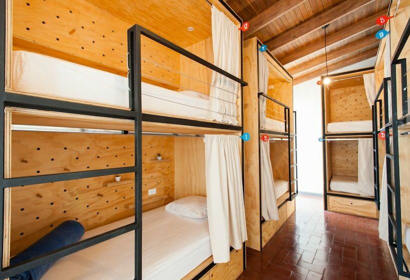 ルームシェアのワンベッド, Capital Hostel De Ciudad