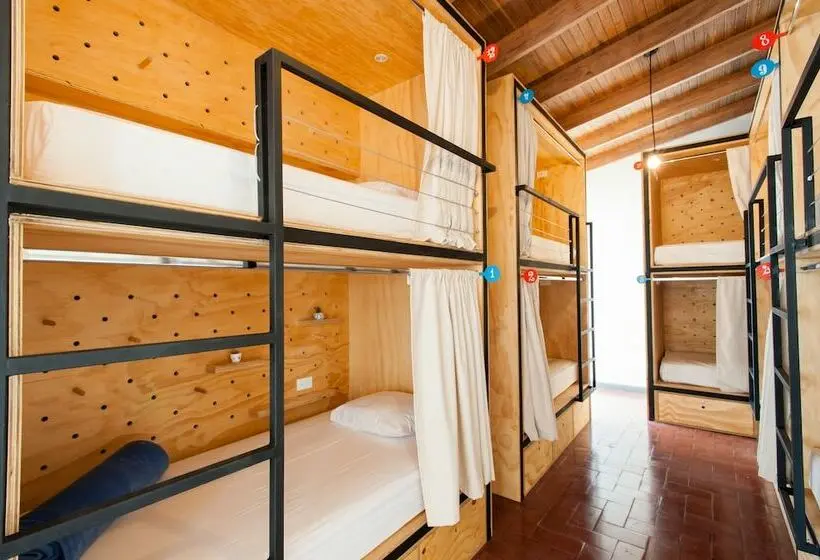 تختخواب در اتاق مشترک, Capital Hostel De Ciudad