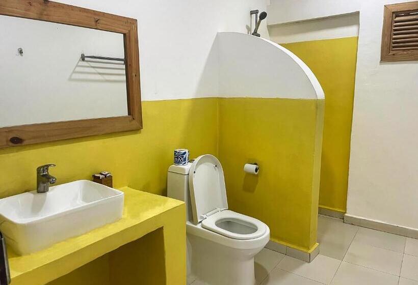 חדר אקונומי, Avo Boutique