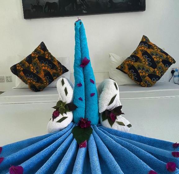 חדר אקונומי, Avo Boutique