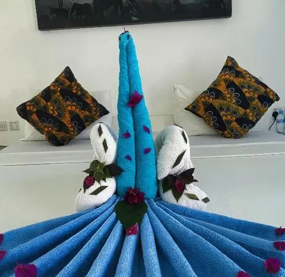 اتاق اکونومی, Avo Boutique
