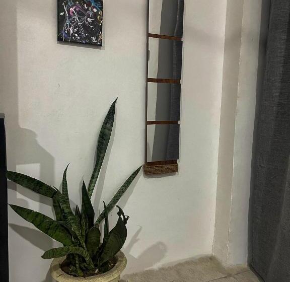 חדר סטנדרט, Avo Boutique