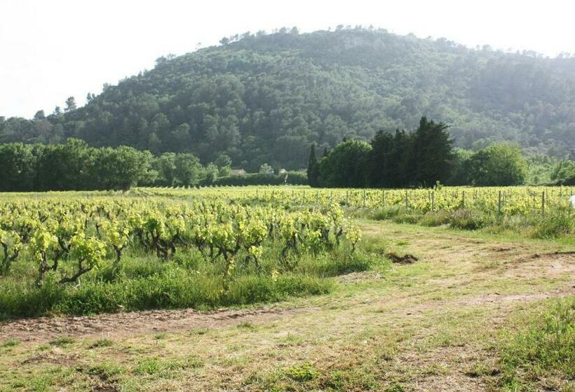 Номер Стандарт, Domaine Regis Freres