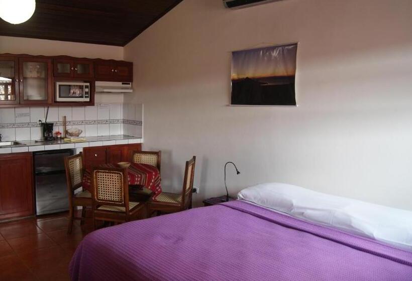 스탠다드 스튜디오 킹침대, Cacique Adiact