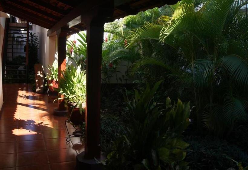 스탠다드 스튜디오 킹침대, Cacique Adiact