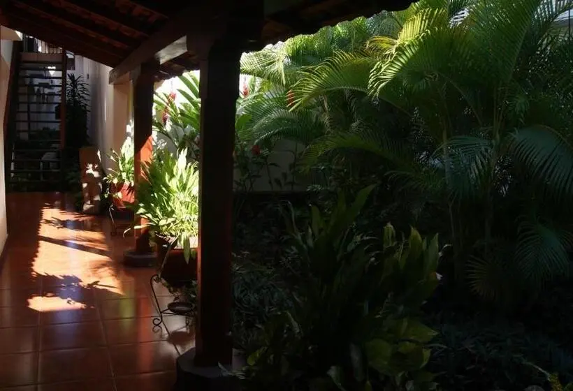 キングサイドベッドのスタンダードワンルーム, Cacique Adiact
