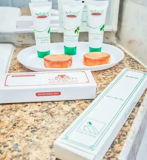 エクゼクティブルーム, Ganpati Hotel Katra