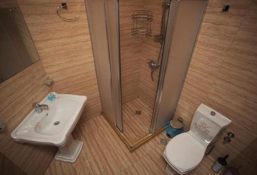 اتاق استاندارد چهار تخته, Irise