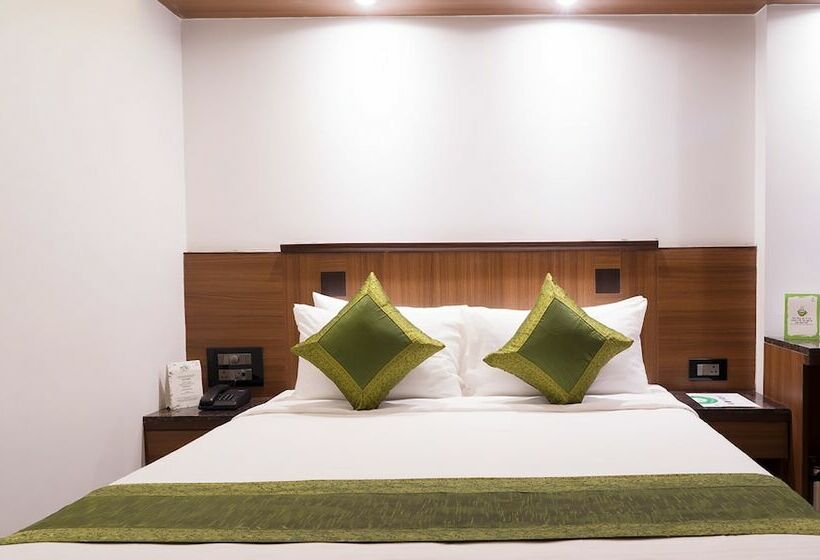 Номер Стандарт, Treebo Olive Inn