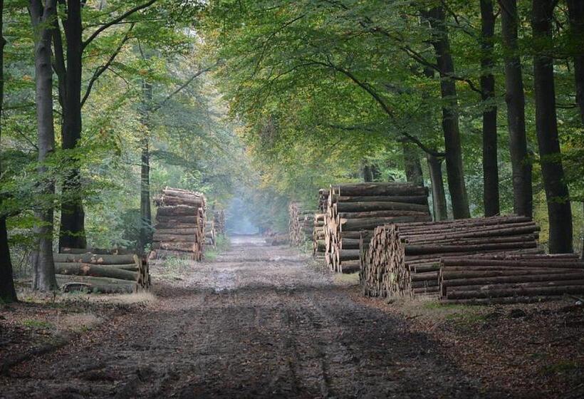 豪华套房, B&b Het Wellnest