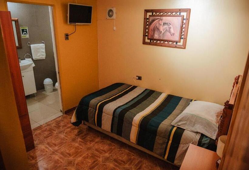 اتاق عادی یک تخته, Di Giorgio Hostal