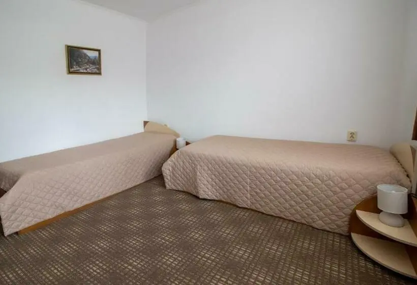 スタンダードルーム, Family Hotel Panorama