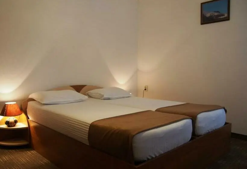 スタンダードルーム, Family Hotel Panorama