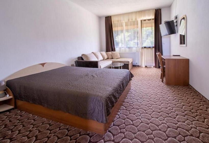 غرفة ديلوكس عائلية, Family Hotel Panorama