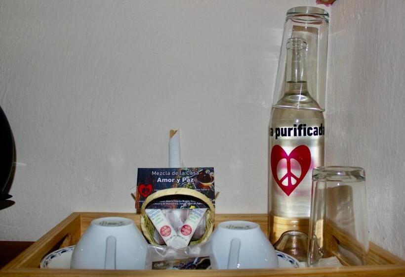 חדר בסיסי, Amor Y Paz