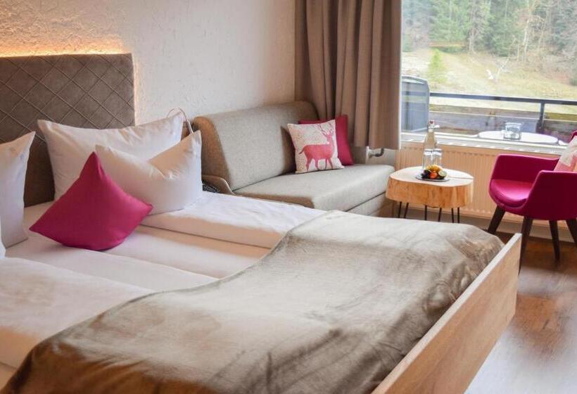 Номер Стандарт с Балконом, Bad Rain Mit Oberstaufen Plusgolf