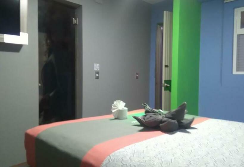 اتاق استاندارد, H   Eco Adults Only