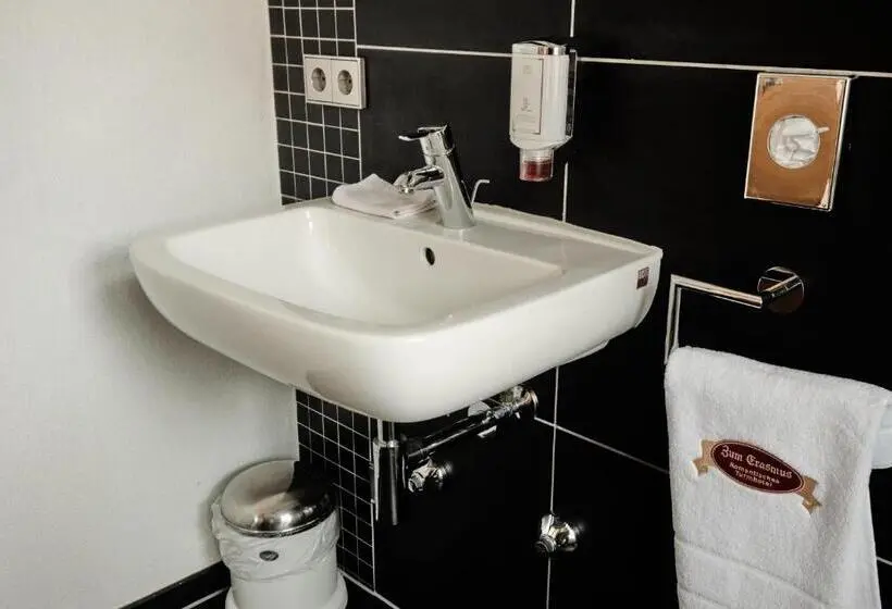 スタンダードシングルルーム, Turmhotel Zum Erasmus