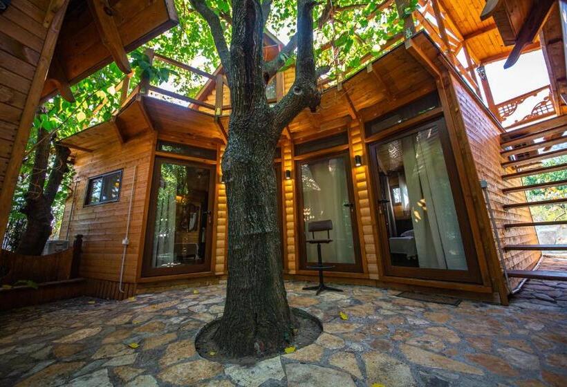 패밀리 룸, Legjenda