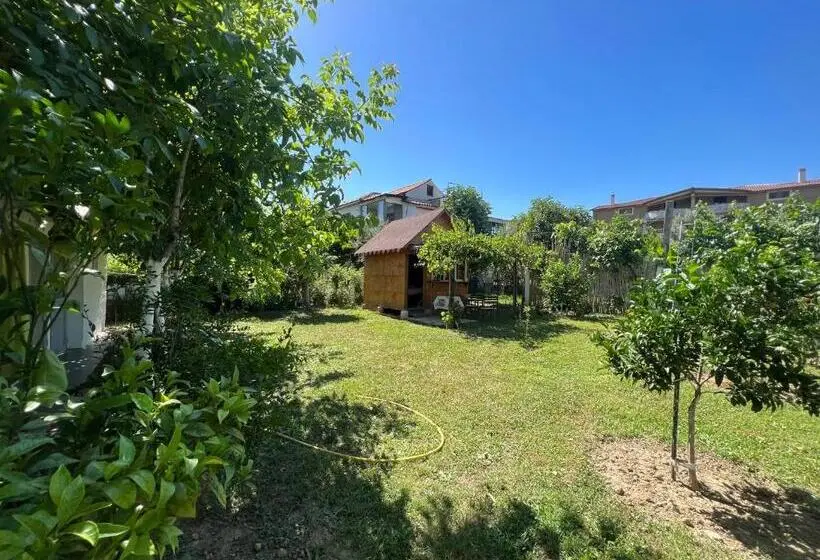 کلبه ییلاقی, Elbasan Backpacker Hostel