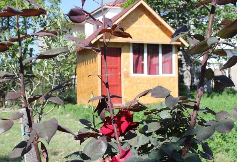 شاليه غرفة نوم واحدة, Elbasan Backpacker Hostel